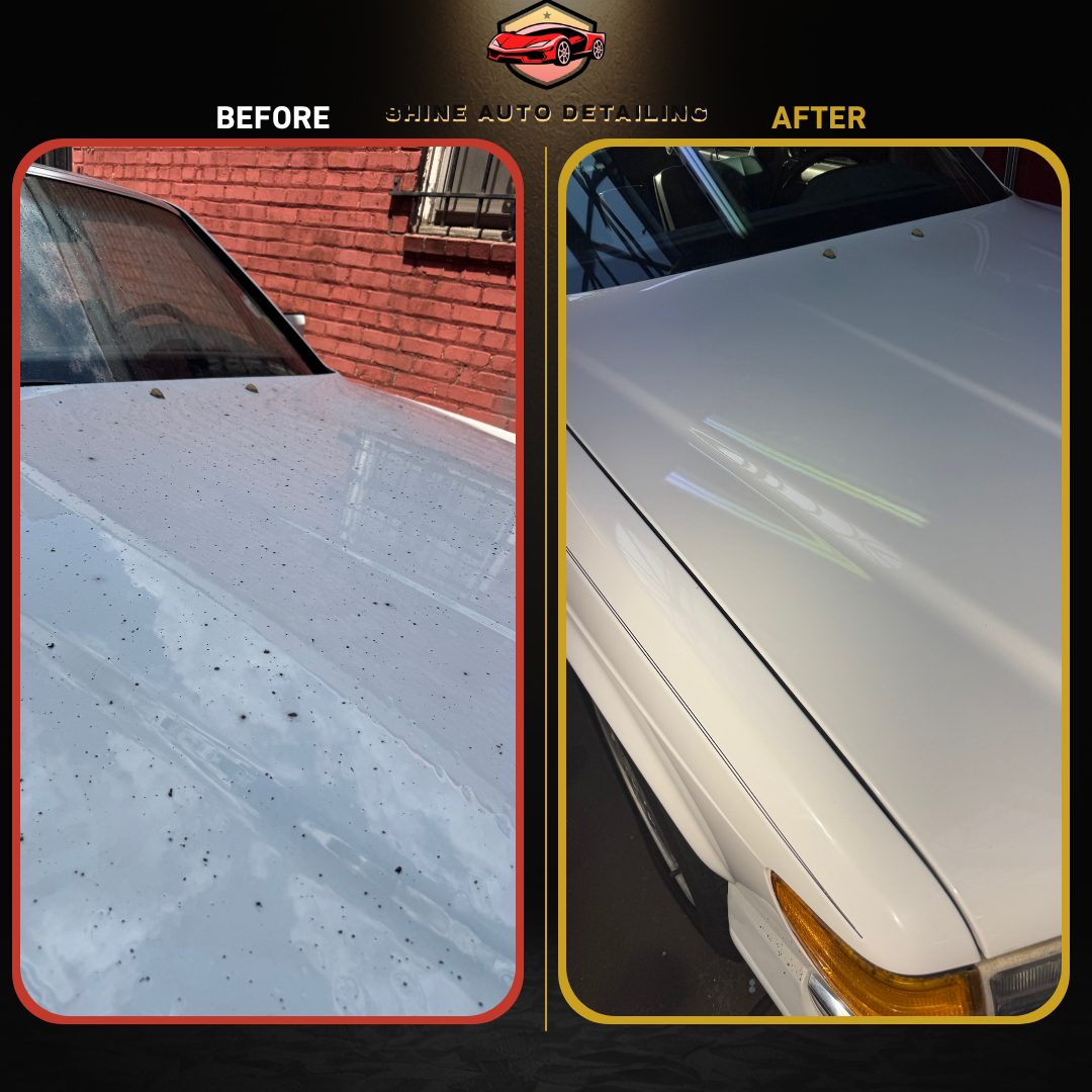 Before and after bug and tar removal on a car hood